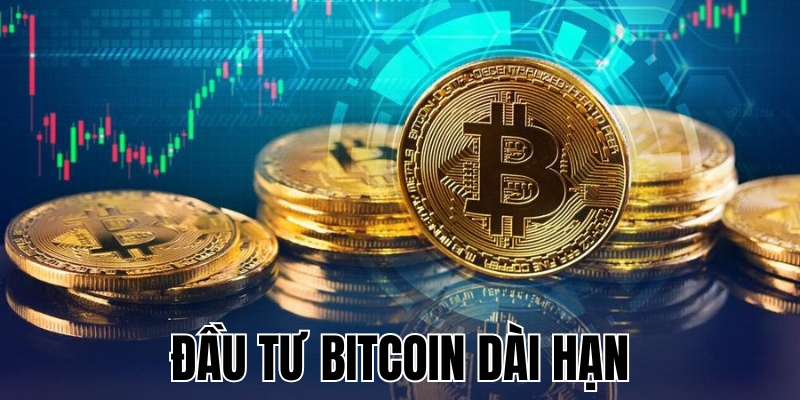 Đầu Tư Bitcoin Dài Hạn: Chiến Lược Thông Minh Cho Nhà Đầu Tư 12 Anh Thumb bai viet 2