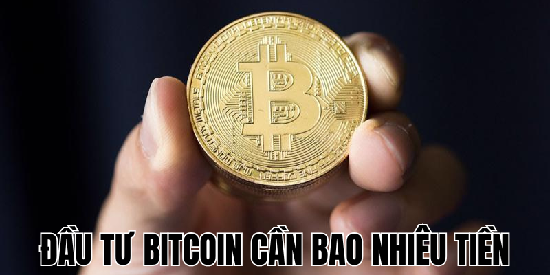Đầu Tư Bitcoin Cần Bao Nhiêu Tiền? Hướng Dẫn Chi Tiết Cho Người Mới 2 Anh Thumb bai viet1 11