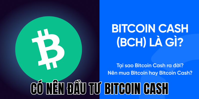 Có Nên Đầu Tư Bitcoin Cash? Những Điều Cần Biết Trước Khi Quyết Định 21 Anh Thumb bai viet1 59