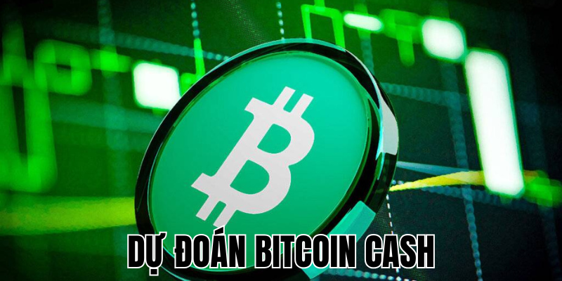 Dự Đoán Bitcoin Cash: Những Tiềm Năng Tăng Trưởng Mạnh Mẽ Trong Tương Lai 22 Anh Thumb bai viet1 60