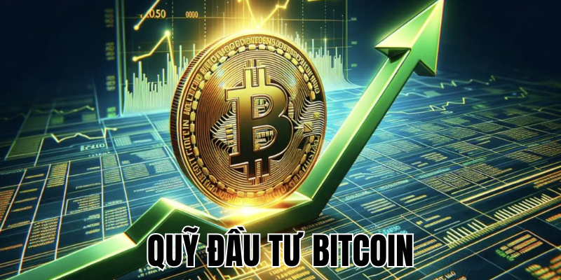 Quỹ Đầu Tư Bitcoin: Cơ Hội Sinh Lời Hay Rủi Ro Cần Tránh? 1 Anh Thumb bai viet1 73