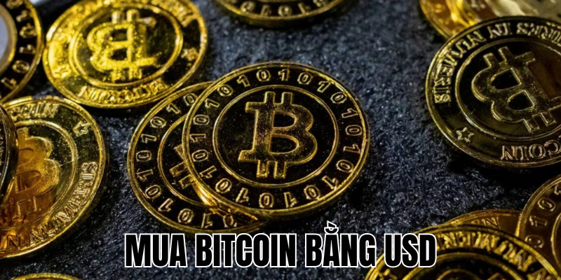 Mua Bitcoin Bằng USD: Hướng Dẫn Chi Tiết Và Đơn Giản Nhất 2025 5 Anh Thumb bai viet2 7