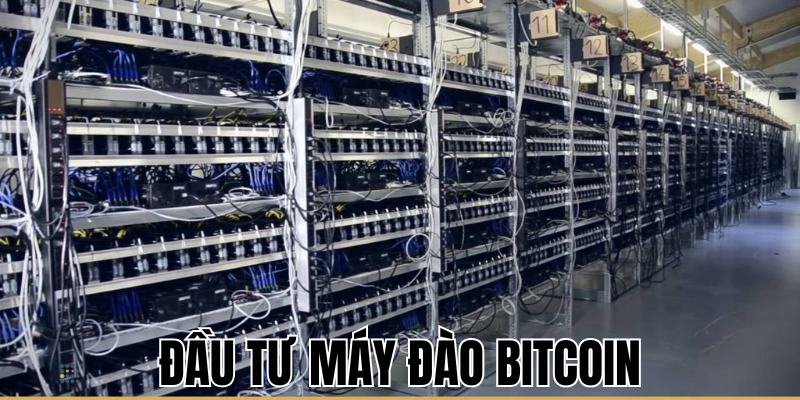Đầu Tư Máy Đào Bitcoin: Hướng Dẫn Chi Tiết Cho Nhà Đầu Tư 8 Anh Thumb bai viet2